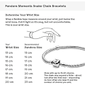 Miniatyrbild 3 av 5: Pandora Moments Armband i Sterlingsilver med Ikoniskt Ormkedjemönster för Berlocker för Kvinnor 16cm