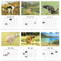 Miniatyrbild 5 av 5: 2025 Väggkalender Roliga Katter och Hundar Månadskalender för Skrivbord Hemmakontors Dekoration Julgåvor Tired Women