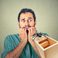 Miniatyrbild 6 av 6: Original Spider Scare Prank Box, Handgjord Rolig Skämtlåda Leksak, Rolig Träskräcklåda, Praktisk Leksaksprank för Barn Vuxna