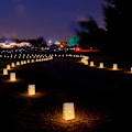 Miniatyrbilde 3 av 5: 50 stk flammehemmende lysposer, stjernedesign lys for bryllup, fest