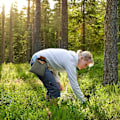 Miniatyrbillede 6 af 7: Foderpose, sammenklappelig Bushcraft-pose, vokset lærredsfoderpose Læderbæltepose Taljepose Svampepose Høstpose Frugtplukkepose