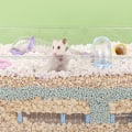 Miniatyrbild 5 av 5: Newway Påsk DIY Hamster Springande Tunnel Leksak Set Husdjur Hamster Spel Träning Spela Verktyg kompatibel Smådjur Tillbehör Jul White
