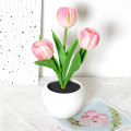 Miniatyrbillede 3 af 5: Tulip Lampe Lys Bordlampe Blomster Skrivebordslampe LED Tulip Natlampe til Stue Soveværelse til Værelse GreenPink