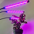 Miniatyrbild 4 av 5: Justerbar växtlampa - LED, Timer Svart