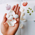 Miniatyrbilde 4 av 5: 25 stk naturlige kamskjell, spesial for håndlaget DIY kreativ produksjon håndlaget DIY kreativ kol White