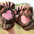 Miniatyrbild 4 av 5: Kattflicka öppna fingrar katt tass varma handskar förtjockad fluff handformad borste halvfingerhandskar Rosa Pink Average size