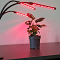 Miniatyrbild 5 av 5: Justerbar växtlampa - LED, Timer Svart
