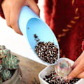 Miniatyrbilde 4 av 5: 3 stk Plastbøtter Spade Fargerike Graveverktøy Bøtter Praktiske Hagebøtter Planting Hage Spade (Tilfeldig Farge)