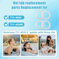 Miniatyrbillede 2 af 5: 711-4030B Udskiftning 2 tommer til Gecko Spa Vildmarksbad Varmelegeme Pakning til 2 tommer Spa Varmelegeme Samlinger Unions Pakning