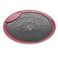 Miniatyrbilde 4 av 5: Bil Audio Høytalerdeksel Dør Høytalerdeksel For - E/c/glc Klasse W213 W205 Gloss