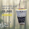 Miniatyrbilde 4 av 5: 6 stk Fluesnapper, rød topp Fluesnapper, utendørs Hengende Fluesnapper, fanger og holder opptil 20 000 fluer