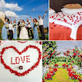 Miniatyrbilde 5 av 5: 3000 stk Roseblader, Blomst, Roseblader egnet for seng & Valentinsdekorasjoner, Marry Me-dekorasjoner, Artif