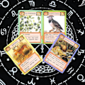 Pikkukuva 4 / 5: Ecologies Tarot -korttipakka Lautapeli Kohtalonennustukseen ja Onnenlukuun