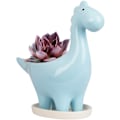Miniatyrbild 1 av 5: Keramisk Suckulentkruka Med Fat, Dinosaurieformad Kaktusblomkruka, Mini Inomhus Växtkruka Present Dekoration Blå