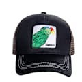 Mesh Djurbroderad Keps Snapback Keps Papegoja Svart Grön papegoja svart grön