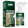 Grøn græsmaling spray langtidsholdbar græsmaling forbedrer plettet sovende gulnende græs til græs