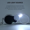 Miniatyrbillede 5 af 5: 1 x 5-kammer LED-forstørrelsesglas - Håndholdt forstørrelsesglas - Håndholdt M