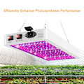 Miniatyrbilde 5 av 5: 1 stk 2000W LED-vekstlys for innendørs planter 312 LED-er Full Spectrum Veg og Bloom Dual Switch Ip65 Vanntett Hengende Pl