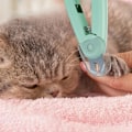 Pikkukuva 4 / 5: Kynsienleikkurit LED-valolla koirille ja kissoille - Nail Scissor DXGHC