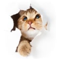 Miniatyrbilde 3 av 3: 3D-effekt Klistremerker - Liten Katt Selvklebende Klistremerke - Trom DXGHC