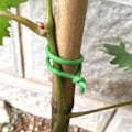 Miniatyrbillede 4 af 5: Havebinding til klatrende rattan blomsterstand Havebinding Trådspol W