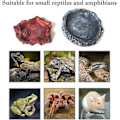 Miniatyrbild 4 av 6: 2 st Reptilmatare, Reptilskålar, Vattenfat för Ödlor, T