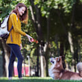 Pikkukuva 4 / 5: Lateksipirskeet lelut 2 pakkausta, Koirien interaktiiviset kumipureskelulelut, DXGHC