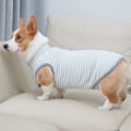 Miniatyrbillede 1 af 5: Hundevest, efterår og vinter nye kæledyrs tøj, Teddy Fadou Keji kat