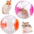 2 Hamsterboll Transparent Söta Hamsterboll Hamster Träningsboll