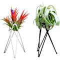 Miniatyrbilde 4 av 6: （Hvit）2 stk Luftplante Stativ Tillandsia Base Moderne Geometrisk Metall