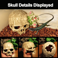 Miniatyrbillede 4 af 7: Akvarium Skalle Dekoration, Harpiks Fiskekum Dekorationer Hule Betta Fisk