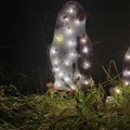 Miniatyrbild 6 av 6: 3 st julpingviner i akryl med 50 LED-lampor, utomhusfigur