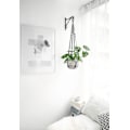 Miniatyrbild 7 av 7: Macrame Växthängare Inomhus Hängande Planterkorg med Träpärla