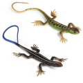 Miniatyrbilde 1 av 5: 2 stk Kunstige Øgler - Fadebestandig, Levende og Fargerike Reptiløgler
