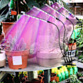 Miniatyrbillede 2 af 7: Vækstlys til Indendørs Planter - Opgraderet Version med 80 LED-lamper