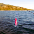 Miniatyrbilde 4 av 4: Fiskesluk Vivid Lett Spinner Snakehead Fiske Agnet DXGHC