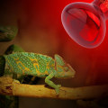 Miniatyrbillede 5 af 6: Reptil Varmelampe Lyskit - Infrarød Skægget Drage Øgle T