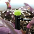 Miniatyrbilde 6 av 6: 100 stk Justerbare Drypp Automatisert Vanningssystem Mikro Sprinkler