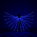 Miniatyrbild 5 av 5: Magdansvingar med Guldvingar Regnbåge Färgglada LED Luminous Wing Dan