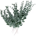 Miniatyrbillede 1 af 5: 10 stk. Kunstige Eucalyptusgrene, Plastik Eucalyptus Blad DXGHC