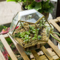 Miniatyrbild 3 av 6: Geometriskt Terrarium i Guldglas, 15 cm Pentagon Regelbunden Mässing