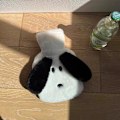 Miniatyrbilde 1 av 5: Søt Plussj Valpe Varmeflaske for Jentevalp, Vannfylling, Varme