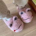 Pikkukuva 3 / 5: Ihana sisätiloihin sopiva lämmin paksupohjaisen plush-pehmustettu liukumaton piirretty fu