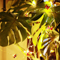 Miniatyrbillede 2 af 4: LED Lysstreng Rattan Sommerfugl Thanksgiving Julepynt