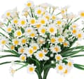 4 stk. Kunstige Margueritblomster, Plastik Kunstige Blomster, UV-resistent