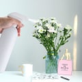 Miniatyrbillede 5 af 5: 3 stk. Sprøjteflasker, 500 ml Tom Sprøjteflaske, Plast DXGHC