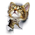Miniatyrbild 1 av 5: Hål-Se Söt Katt 3D Väggdekal Badrum Toalett Barnrum Dekoration