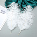 Miniatyrbillede 4 af 5: 24 stk Champagne Struds fjer i bulk 10-12 tommer Boho fjer DXGHC