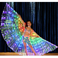 Miniatyrbild 1 av 5: Barnens Färgade LED Luminous Vingar Dansvingar Magdans Vingar