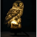 Miniatyrbillede 5 af 6: Solcelle gulvlampe harpiks hvid ugle udendørs vandtæt LED græsplæne l